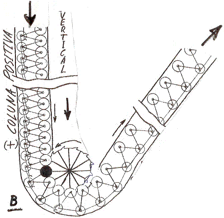 Figura 3 - Clique aqui para ampliar figura 3