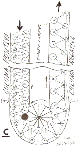 Figura 4 - Clique aqui para ampliar frcm4