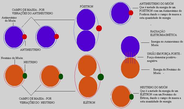 Figura 1 - Clique na imagem para ampliar teornuc01